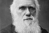 One of the last photographs taken of Charles Darwin, circa 1878.