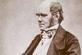 Though often depicted as an old man, this photograph shows Charles Darwin in the 1850s. 