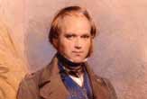 A portrait of 31-year-old Charles Darwin by George Richmond in 1840. Courtesy of the Darwin Heirlooms Trust, copyright English Heritage Photo Library